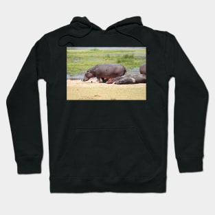 Hippopotamus, Kenya Hoodie